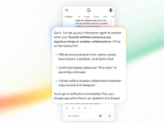 Google Information Agent