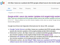 Beispiel für eine Google-Suche mit Info-Operator