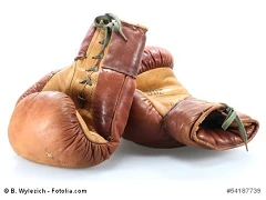 Boxhandschuhe