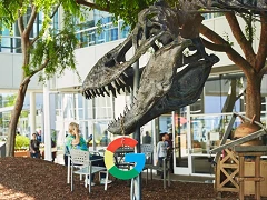 Google: Dinosaurier Stan