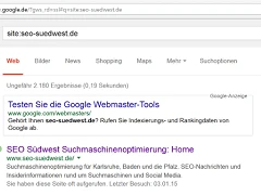 Google Site-Suche nach seo-suedwest.de