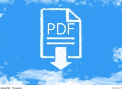PDF
