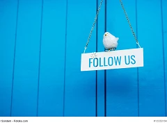 Social Media