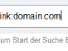 Google: Link-Operator