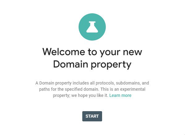 Google Domain Properties