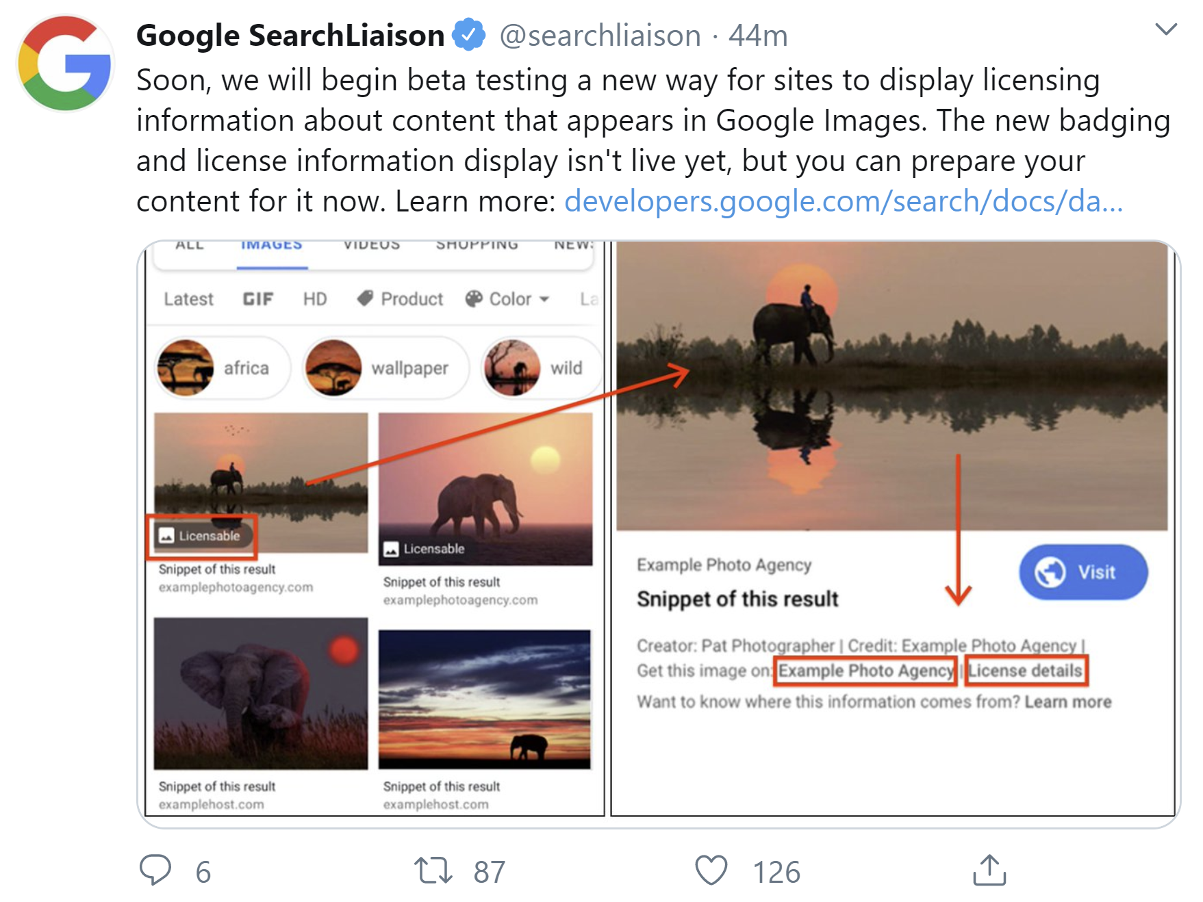 Google: Bald Lizenzierungsinformationen in der Bildersuche