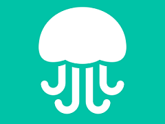 Jelly - neue soziale Suche