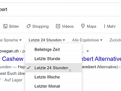 Google-Suchfilter Datum