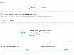 Google PageSpeed Insights neu